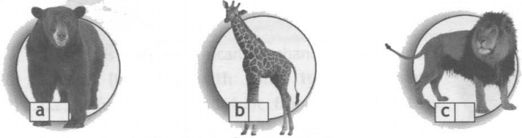 Задание рисунок 2