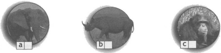 Задание рисунок 4