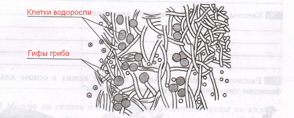 Решение рисунок 1