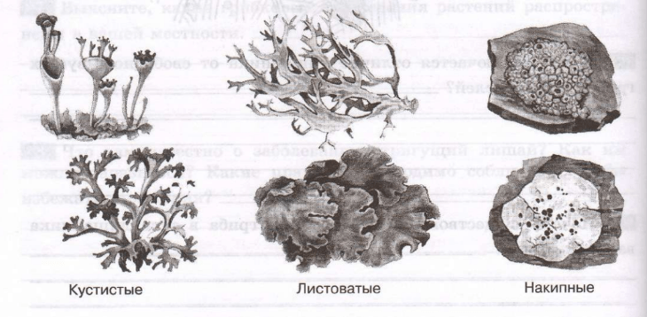 Задание рисунок 1