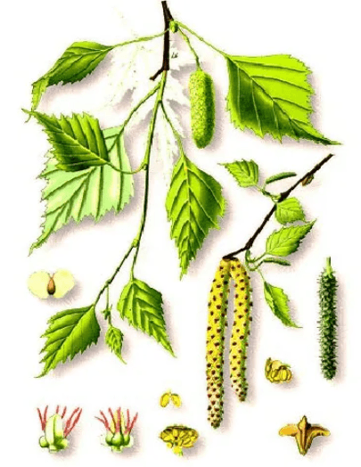 Решение рисунок 3