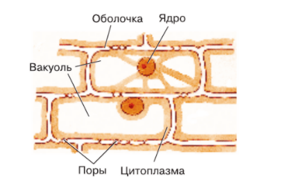 Решение рисунок 2