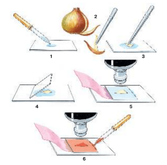Решение рисунок 1