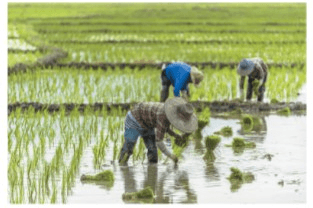 Задание рисунок 1