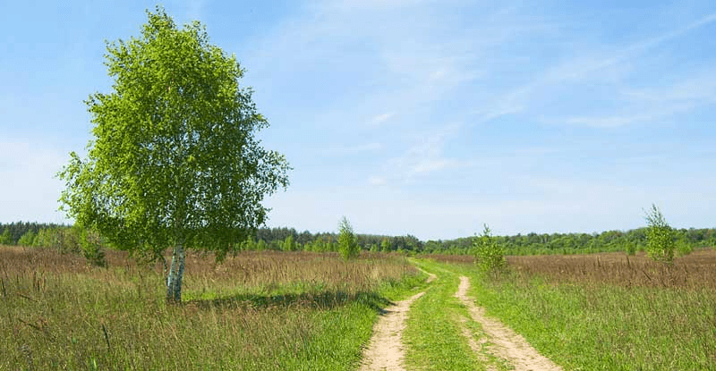 Решение рисунок 1