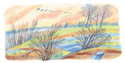 Задание рисунок 1