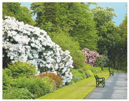 Задание рисунок 1